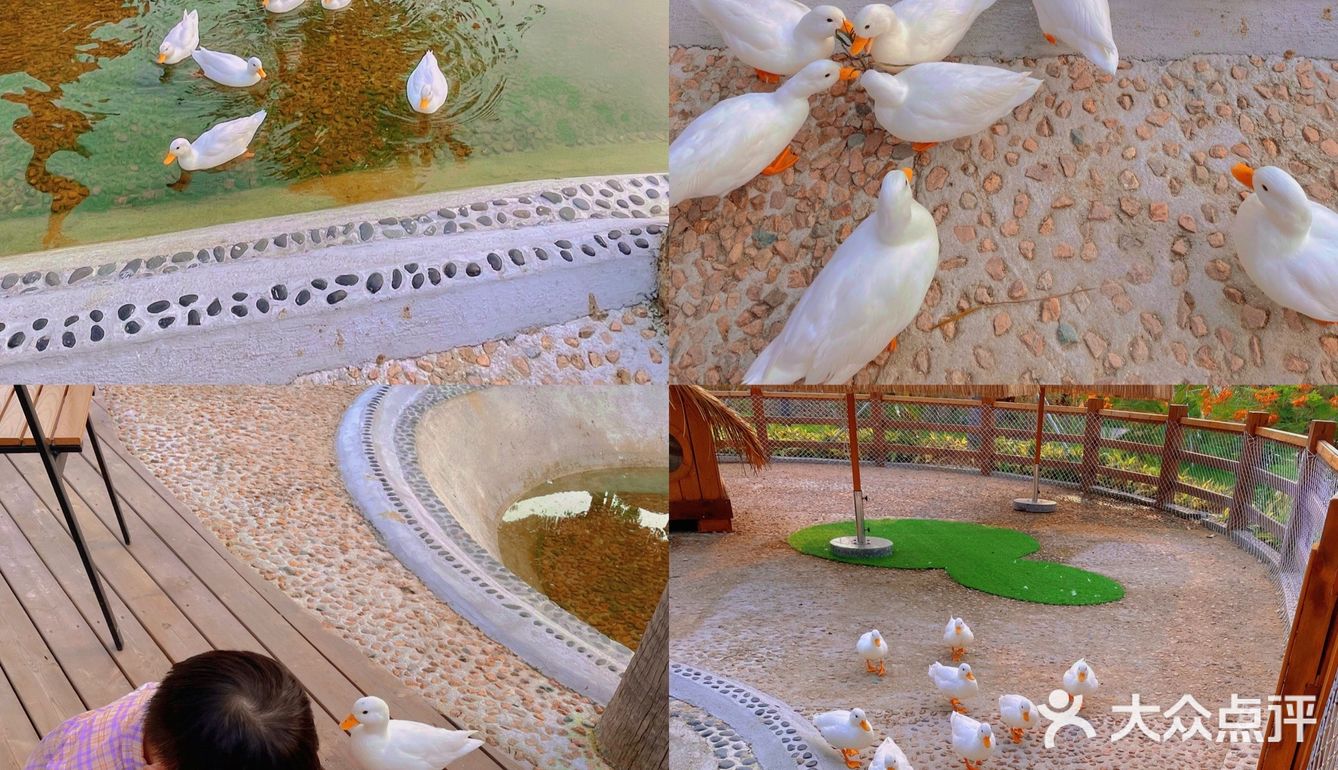 珠海海泉湾小矮人部落，梦想中的童话世界🏕