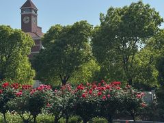 -上海交通大学(闵行校区)