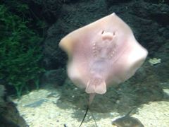 iphone_upload_pic-郑州海洋馆