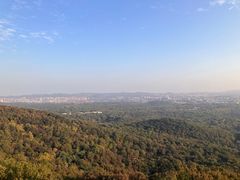 -紫金山山顶公园