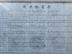 -赵州桥景区