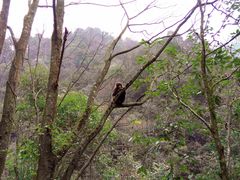 -西岭雪山大飞水景区