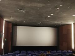 -太平洋影院(西村店)