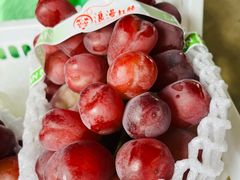 -马陆小张葡萄园农家乐