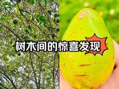 -洋湖国家湿地公园