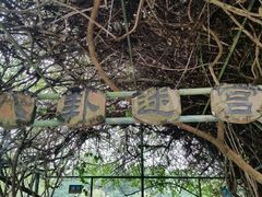 android_upload_pic-广东茂名森林公园