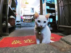 -郑厨私房菜