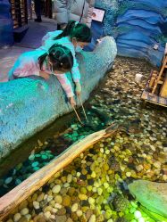 -酷嗒动物文化乐园(cutezoo西溪乐天城店)