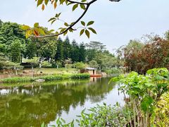 -映月湖公园