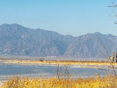 -野鸭湖国家湿地公园