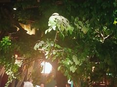 -佬麻雀·剁椒鱼头(京基KK One店)