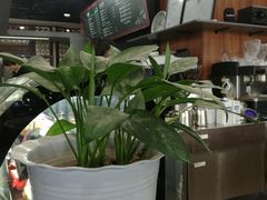 -首都图书馆-咖啡厅