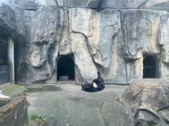 -南昌动物园