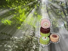 -Laderach 莱德拉(上海环贸iapm店)