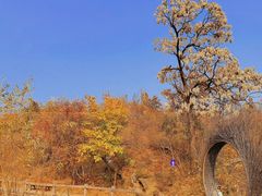 -周口店坡峰岭风景区