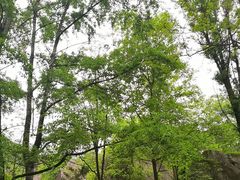 -秦岭终南山世界地质公园翠华山景区