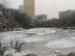 -文瀛公园