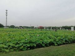 -嘉北郊野公园
