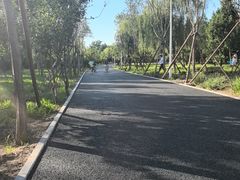 -绿堤公园