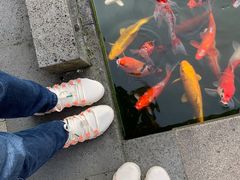 -李宁(大宁国际旗舰店)