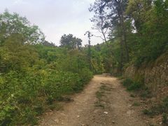 -青龙山国家森林公园