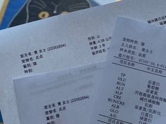 -福州肆爪动物医院