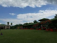 -侯臣咖啡文化村