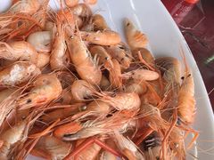 -八仔大富楼·河鲜(西江店)