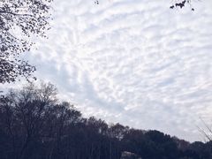 -武汉华夏国际影城(鲁广店)