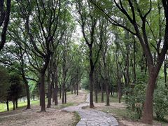 -立水桥公园