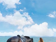 -玫瑰海岸文化旅游度假区