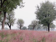 -汉长安城未央宫国家考古遗址公园