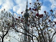 -文华公园(禅城区)