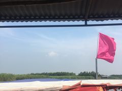 -白洋淀景区