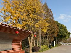 -瀛洲公园