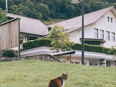 -袁记串串香(新南门店)