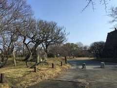 -福冈国际邮轮码头