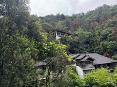 -千岛湖东南湖区