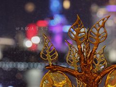 大堂-三号黄浦会Canton Table