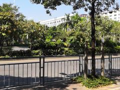 -香港大学