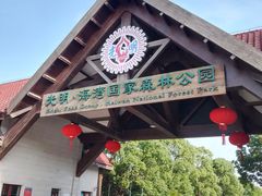 -上海海湾国家森林公园