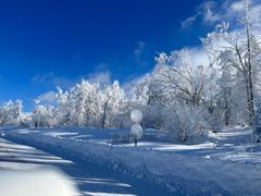 -胖哥俩肉蟹煲(苏州中心店)