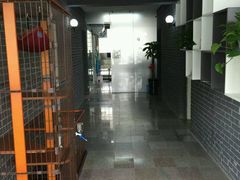 -鑫艺宠物美容培训学校