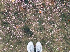 -枫香湖儿童公园