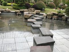 -上海崇明金茂凯悦酒店