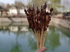 -尚庄度假村·庭台树下·户外烧烤·团建CS·轰趴营地(上庄水库店)