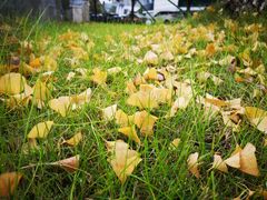 -杭州口腔医院(城西院区)