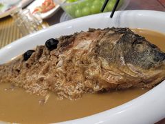 黄河大鲤鱼-百年聚宾楼(北大街店)