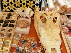 -龙柏饭店-地面停车场