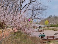 -大连植物园